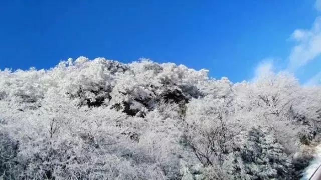 港澳居民“北上消费”新潮背后的安心保障